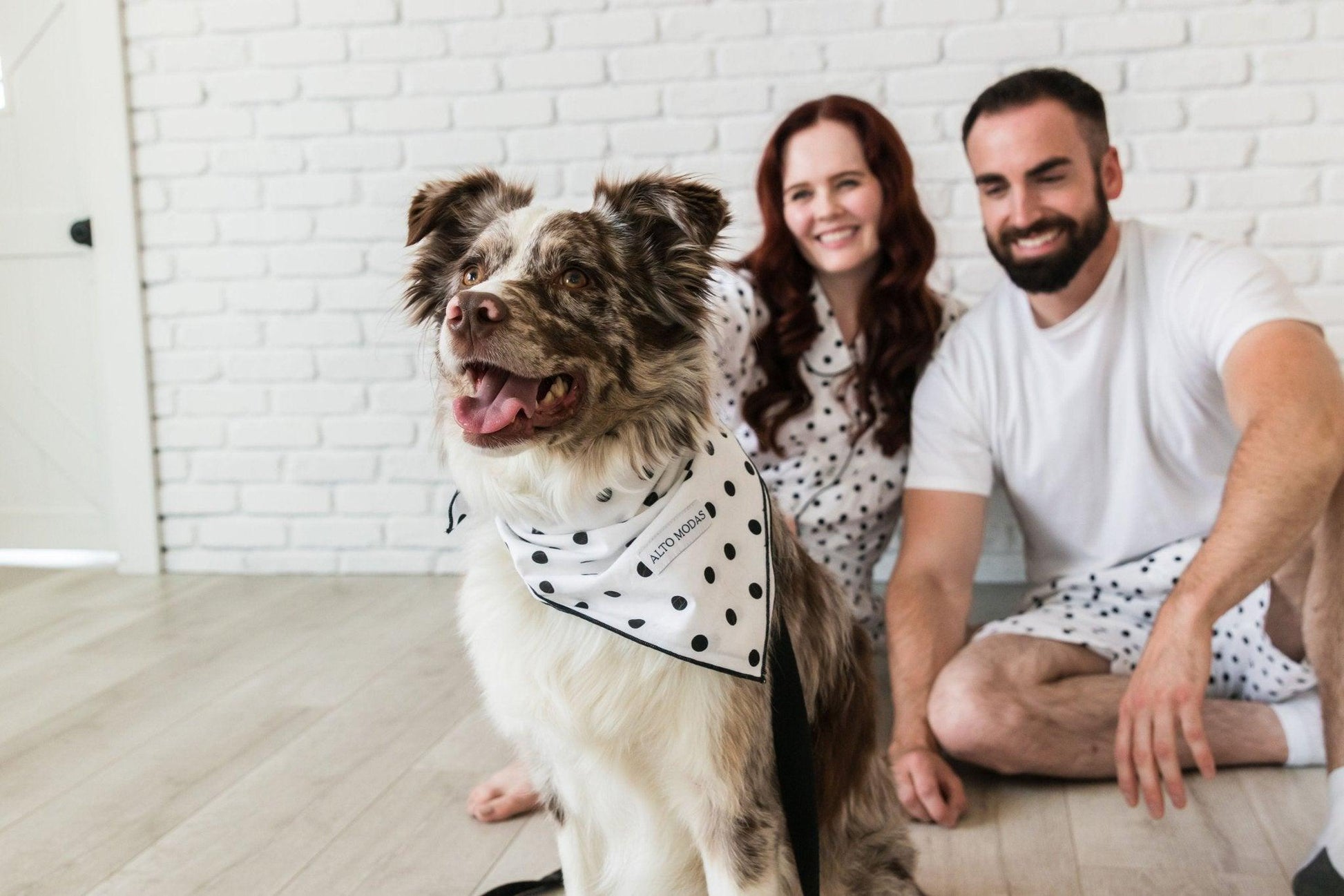 Classic Red & White Dots Seersucker Dog Bandana - Dog Hugs Cat