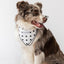 Classic Red & White Dots Seersucker Dog Bandana - Dog Hugs Cat