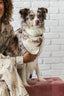 Classic Red & White Dots Seersucker Dog Bandana - Dog Hugs Cat