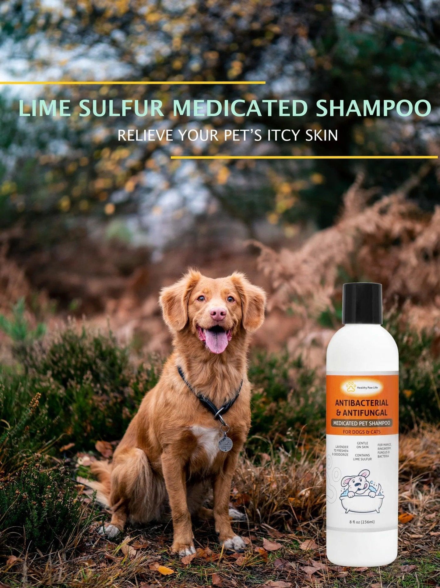 Classic's Lime Sulfur Medicated Pet Shampoo - Soothe Itchy Skin & Combat Infections with Natural Ingredients - Dog Hugs Cat