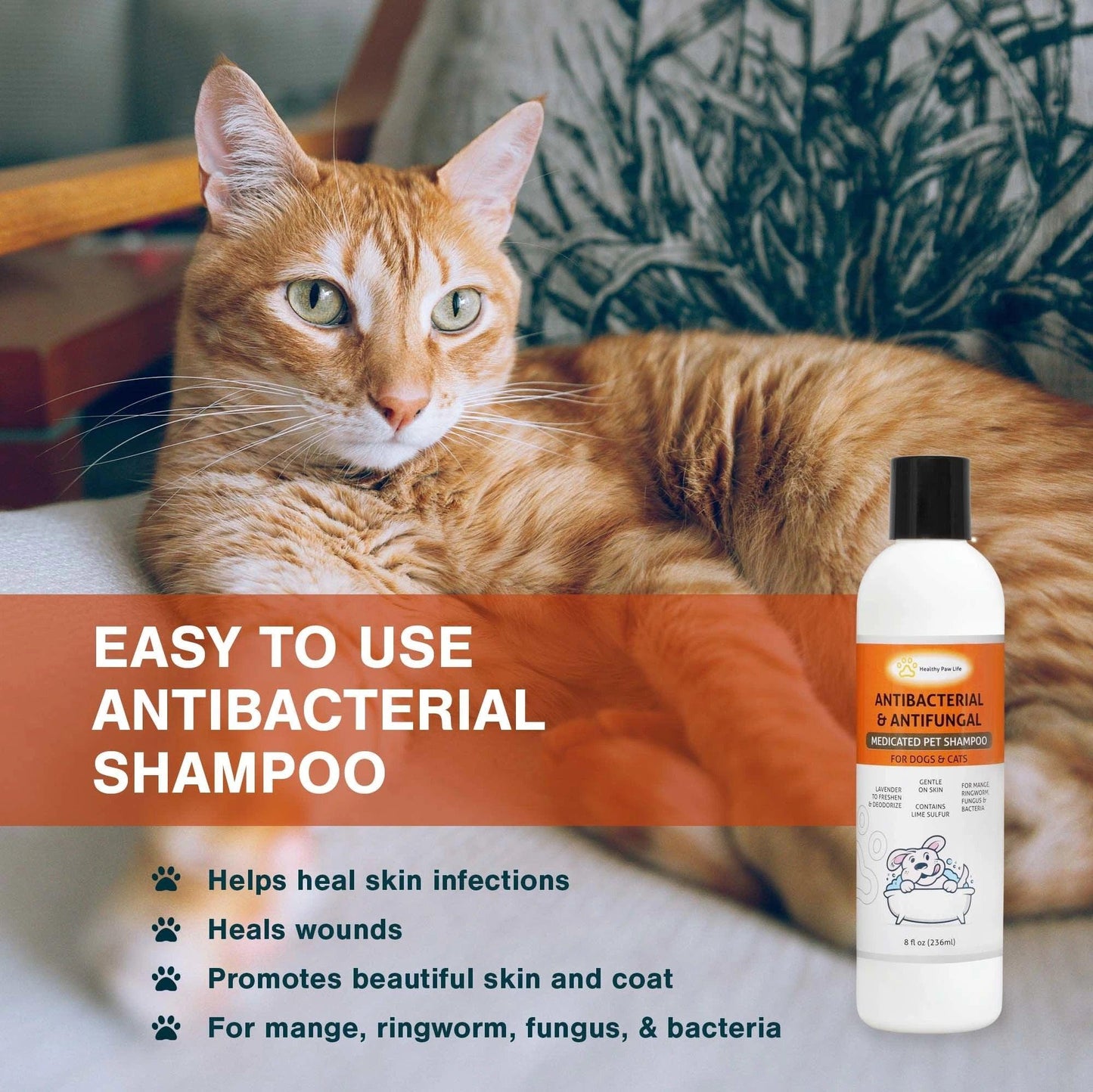 Classic's Lime Sulfur Medicated Pet Shampoo - Soothe Itchy Skin & Combat Infections with Natural Ingredients - Dog Hugs Cat