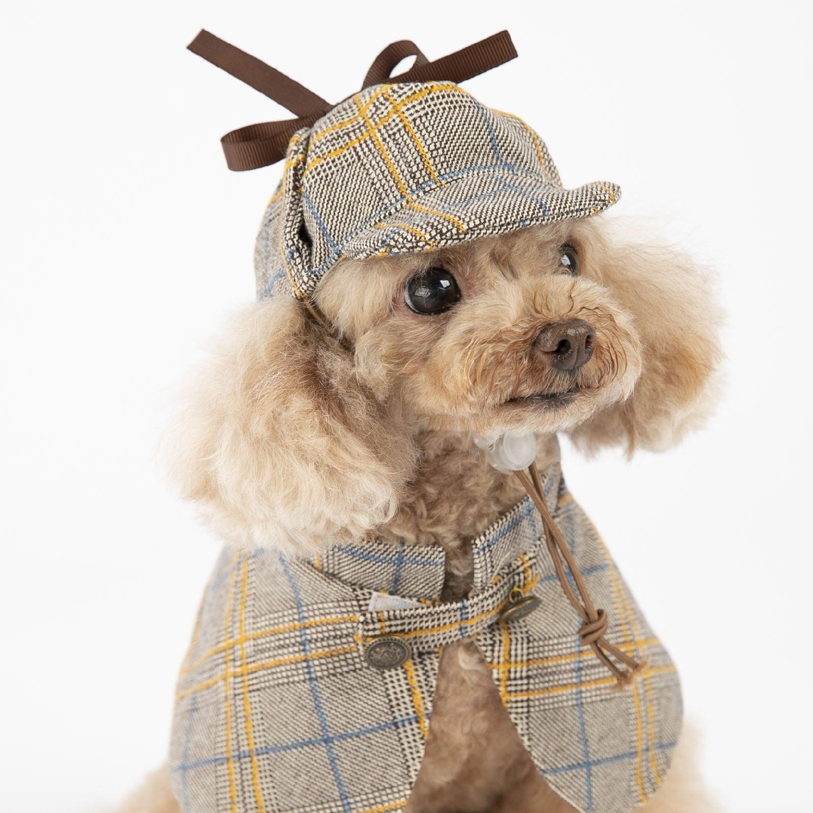 Clever Canine Detective Costume: Stylish And Playful Pet Apparel - Dog Hugs Cat