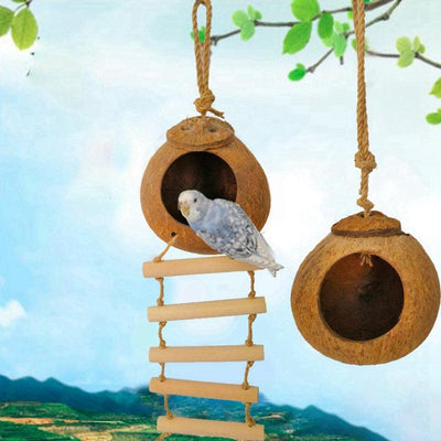 Coconut Shell Paradise Bird Nest - Dog Hugs Cat