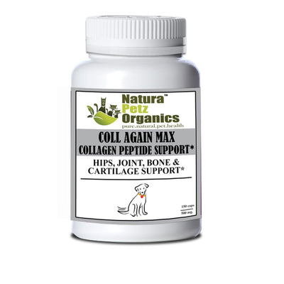 Coll Again Max Collagen Peptide Support for Joint and Bone Health in Dogs and Cats - Dog Hugs Cat