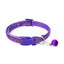 Colorful Pet Collar: Stylish And Durable For Dogs And Cats - Dog Hugs Cat