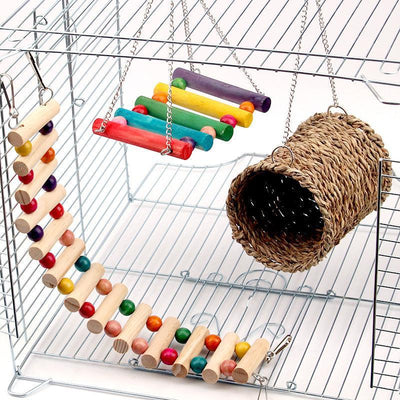 Colorful Wood Parrot Playground: Swing, Climb, And Play! - Dog Hugs Cat