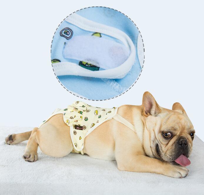 Comfortfit Anti - Harassment Pug Physiological Pants - Dog Hugs Cat