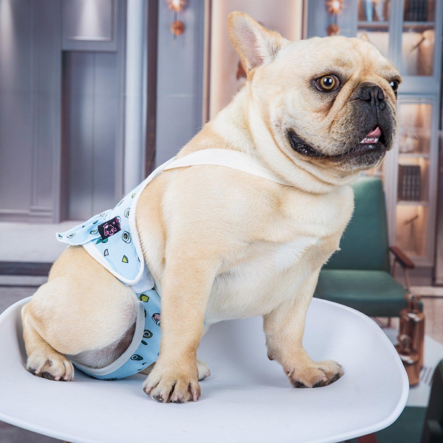 Comfortfit Anti - Harassment Pug Physiological Pants - Dog Hugs Cat