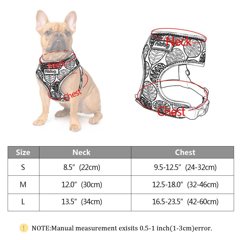 Comfortfit Nylon Dog And Cat Harness Leash Set - Dog Hugs Cat