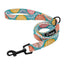 Comfortfit Nylon Dog And Cat Harness Leash Set - Dog Hugs Cat