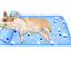 Cool Breeze Pet Comfort Mat: Breathable Cooling Pad With Pillow For Dogs And Cats - Dog Hugs Cat