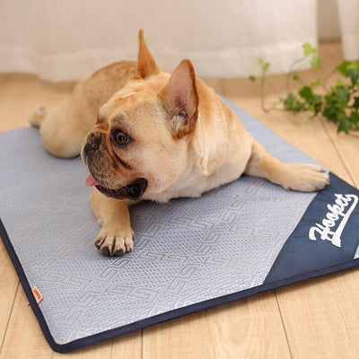 Coolpaws Breathable Pet Cooling Mat - Dog Hugs Cat