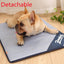 Coolpaws Breathable Pet Cooling Mat - Dog Hugs Cat