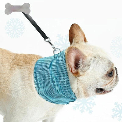 Coolpup Chillwrap: Instant Cooling Pet Bandana For Dogs - Dog Hugs Cat