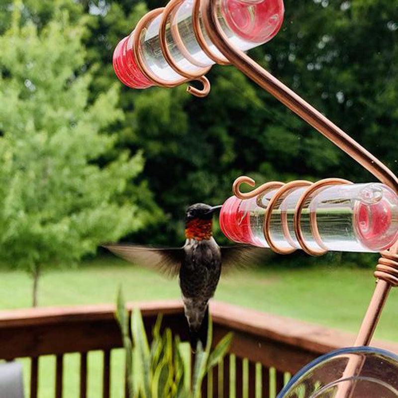 Copper Wire Hummingbird Feeder Kit: Handmade Garden Bird Feeder With Suction Cups - Dog Hugs Cat