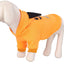 Cosy Halloween Pet Sweater: Stylish Comfort For Your Furry Friend - Dog Hugs Cat