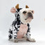 Cow Print Pet Costume - Adorable And Creative Dog Clothes - Dog Hugs Cat