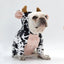 Cow Print Pet Costume - Adorable And Creative Dog Clothes - Dog Hugs Cat