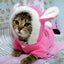 Cozy Bunny Cat Hoodie - Warm And Adorable Pet Cat Clothes - Dog Hugs Cat