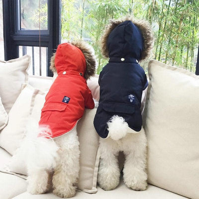 Cozy Canine Cotton Hooded Coat - Dog Hugs Cat