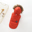 Cozy Canine Cotton Hooded Coat - Dog Hugs Cat