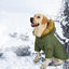 Cozy Canine Cotton Jacket: Stylish And Warm Winter Wear For Large Dogs - Dog Hugs Cat