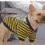 Cozy Canine Cotton Sweater - Dog Hugs Cat