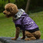 Cozy Canine Couture: Stylish Autumn And Winter Fur Collar Dog Coat - Dog Hugs Cat