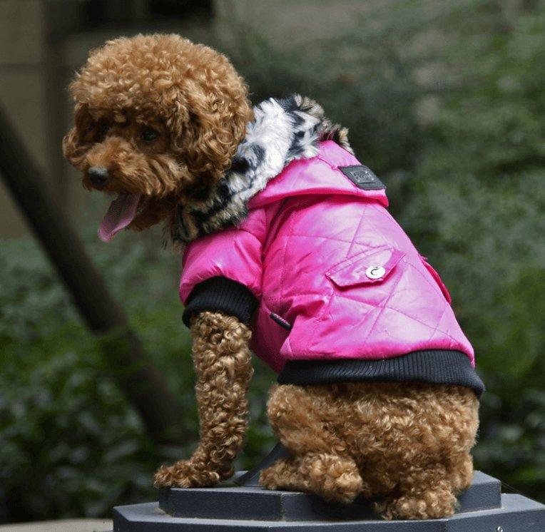 Cozy Canine Couture: Stylish Autumn And Winter Fur Collar Dog Coat - Dog Hugs Cat