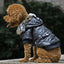 Cozy Canine Couture: Stylish Autumn And Winter Fur Collar Dog Coat - Dog Hugs Cat