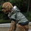 Cozy Canine Couture: Stylish Autumn And Winter Fur Collar Dog Coat - Dog Hugs Cat