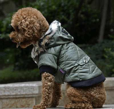 Cozy Canine Couture: Stylish Autumn And Winter Fur Collar Dog Coat - Dog Hugs Cat