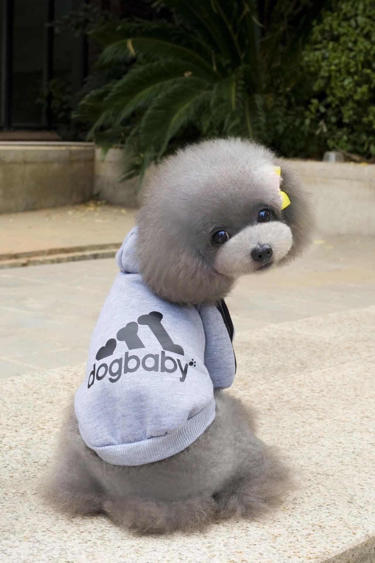 Cozy Canine Couture: Stylish Pet Hoodies For Small Dogs And Cats - Dog Hugs Cat