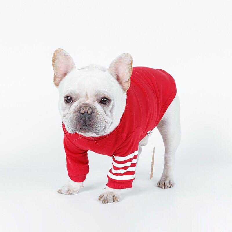 Cozy Canine Knitwear: Stylish And Warm Dog Sweater For Winter - Dog Hugs Cat