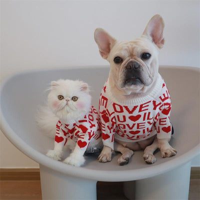 Cozy Canine Padded Sweater - Keep Your Pup Warm And Stylish! - Dog Hugs Cat