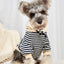 Cozy Canine Striped Hooded Sweater - Fashionable Pet Apparel - Dog Hugs Cat