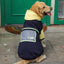 Cozy Canine Sweater - Premium Fleece Pet Apparel For Large Dogs - Dog Hugs Cat