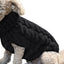 Cozy Canine Sweater: Winter Warmth For Your Furry Friend - Dog Hugs Cat