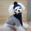 Cozy Canine Winter Ensemble: Dog Hat, Bib, Suit, And Scarf Set - Dog Hugs Cat