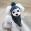 Cozy Canine Winter Ensemble: Dog Hat, Bib, Suit, And Scarf Set - Dog Hugs Cat