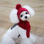 Cozy Canine Winter Ensemble: Dog Hat, Bib, Suit, And Scarf Set - Dog Hugs Cat