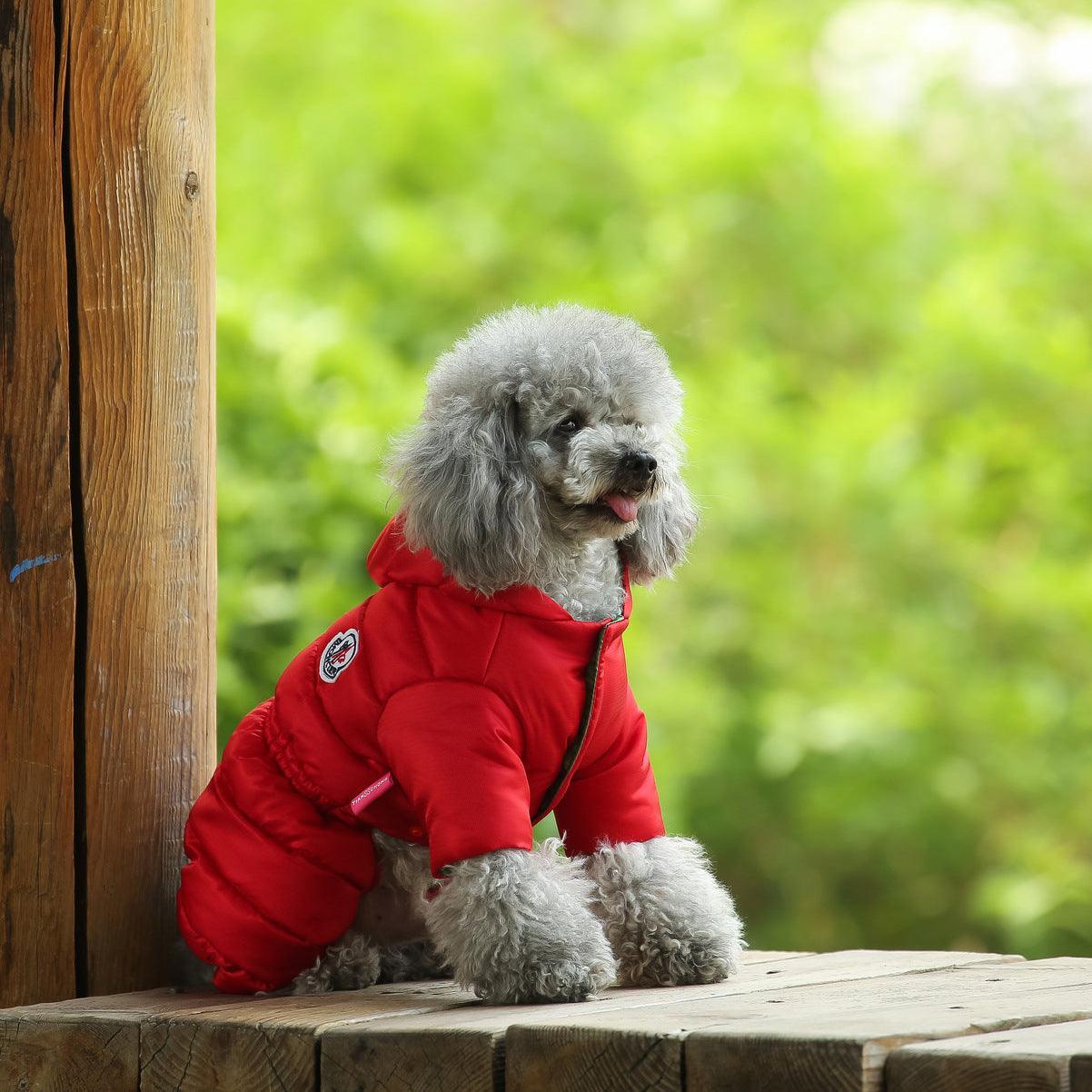 Cozy Canine Winter Jacket - Dog Hugs Cat