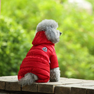 Cozy Canine Winter Jacket - Dog Hugs Cat