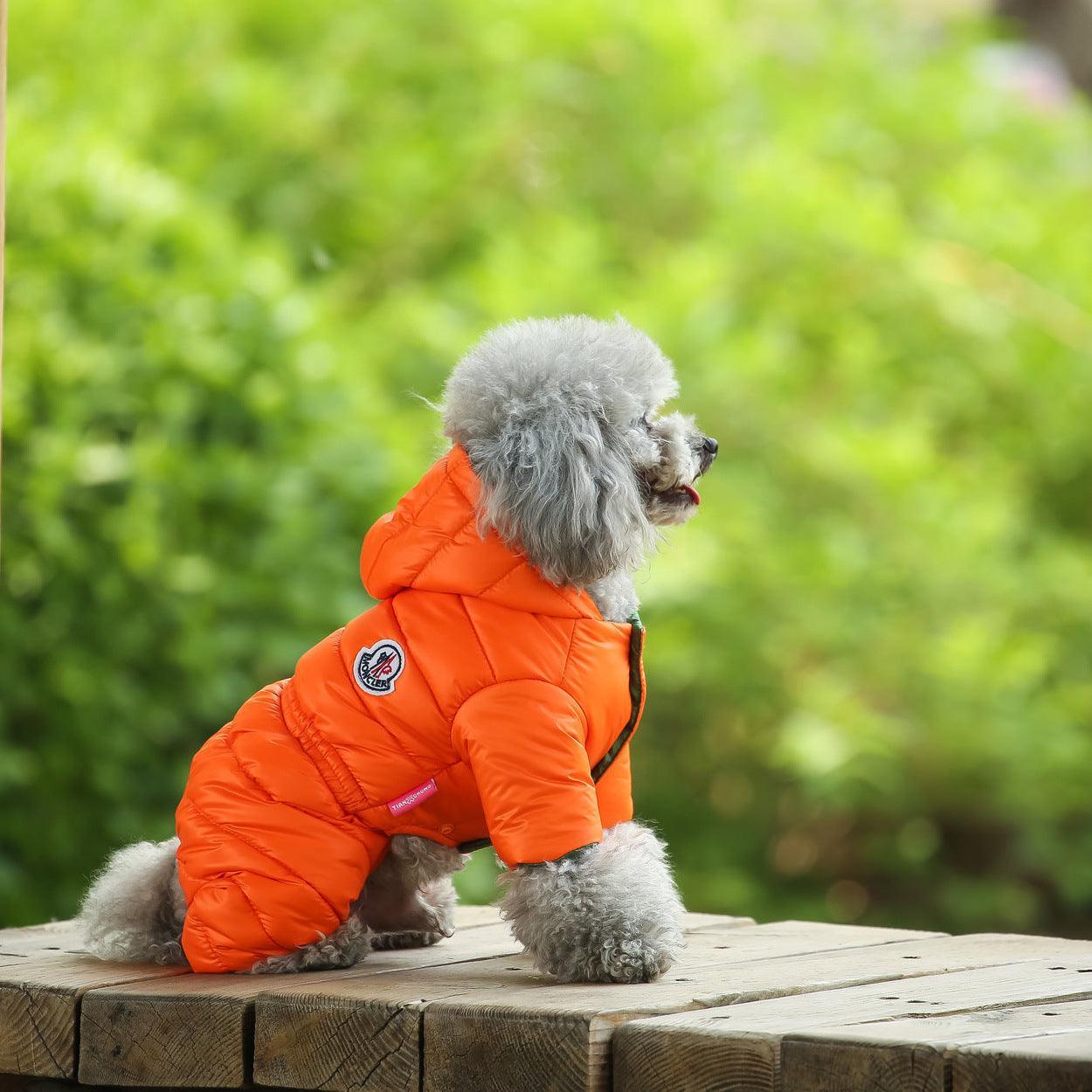 Cozy Canine Winter Jacket - Dog Hugs Cat