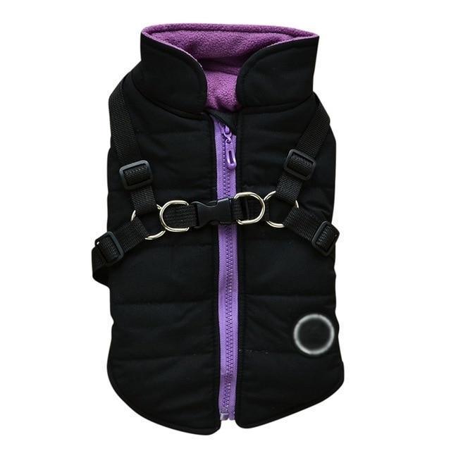 Cozy Canine Zip - Up Jacket - Dog Hugs Cat