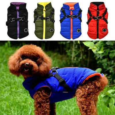 Cozy Canine Zip - Up Jacket - Dog Hugs Cat