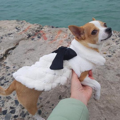 Cozy Chic Plush Bow Dog Coat - Stylish Spring And Autumn Pet Attire - Dog Hugs Cat