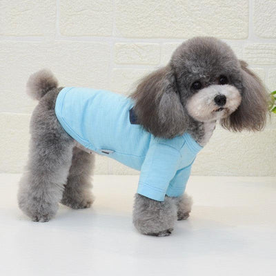 Cozy Cotton Dog Clothes: Stylish And Comfortable Two - Legged Apparel For Dogs - Dog Hugs Cat