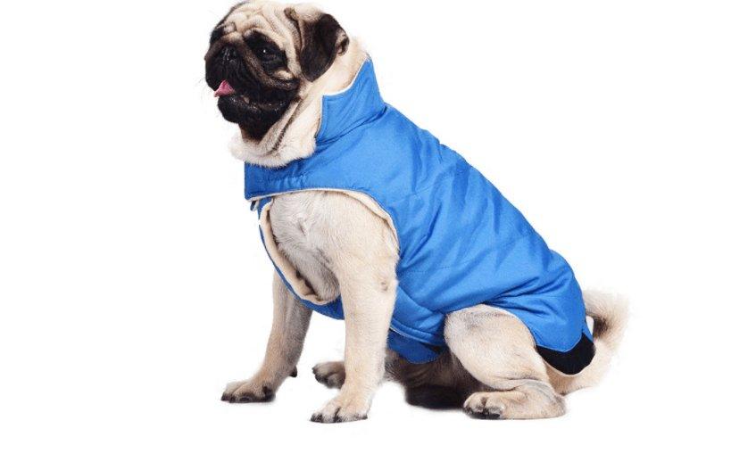 Cozy Cotton Dog Coat Vest - Stylish European And American Style For All Genders - Dog Hugs Cat