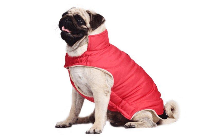 Cozy Cotton Dog Coat Vest - Stylish European And American Style For All Genders - Dog Hugs Cat